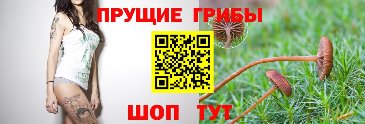 Псилоцибиновые грибы мицелий Кумертау